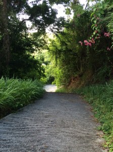 Driveway Tortola, BVI