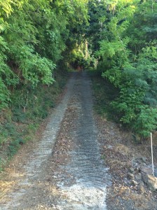 Driveway Tortola, BVI