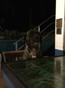 After dark, the "weirdos" come out.