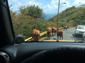 island Traffic Jam